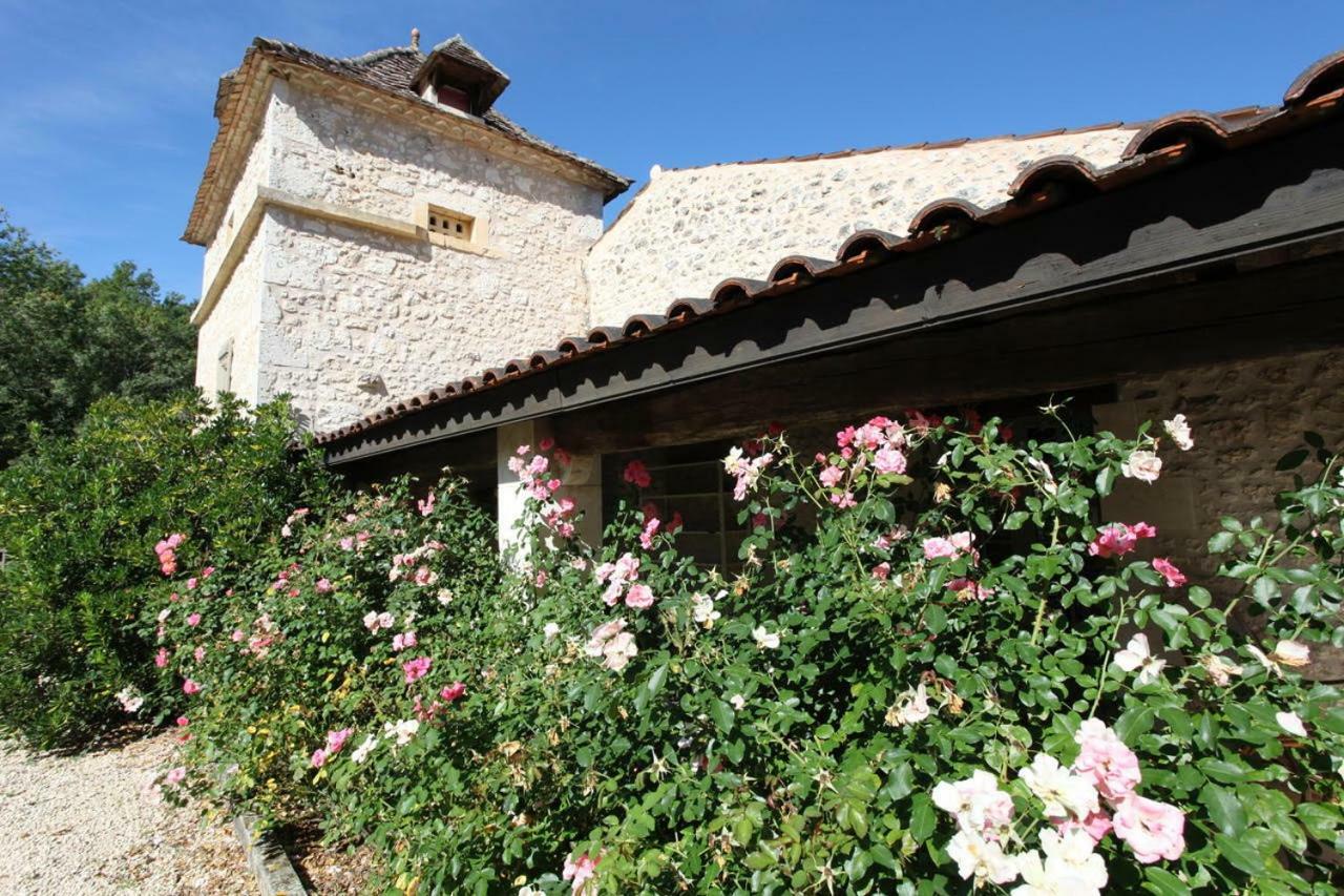 Domaine Du Merlot Sainte-Sabine-Born Exterior photo